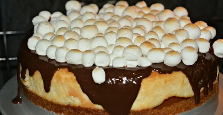 smores cheesecake